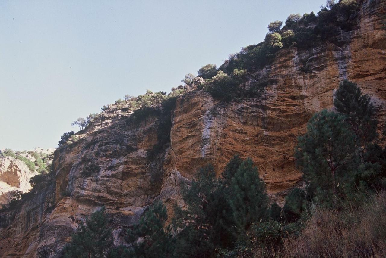 Casas Rurales Mirador Del Mundo Yeste Buitenkant foto