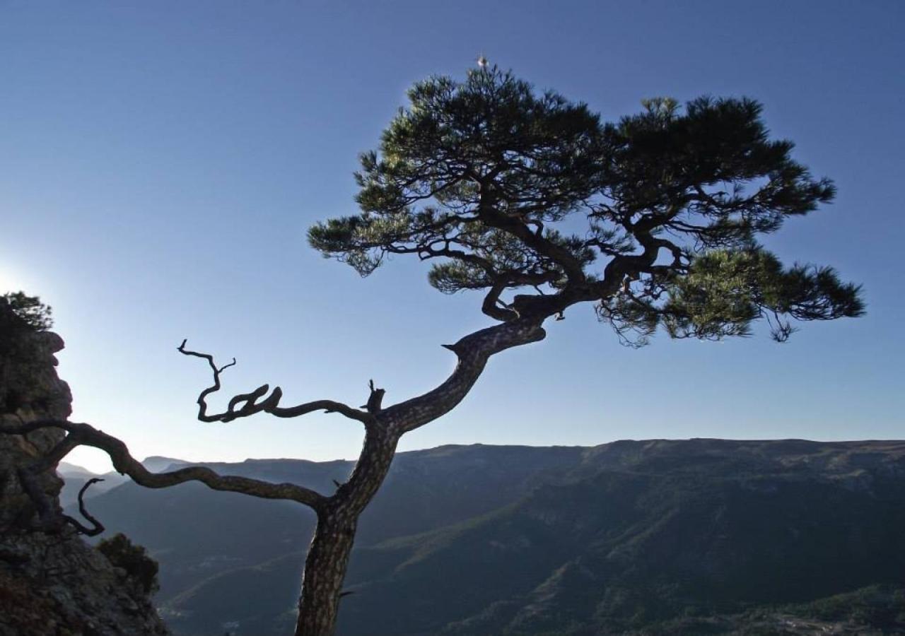Casas Rurales Mirador Del Mundo Yeste Buitenkant foto